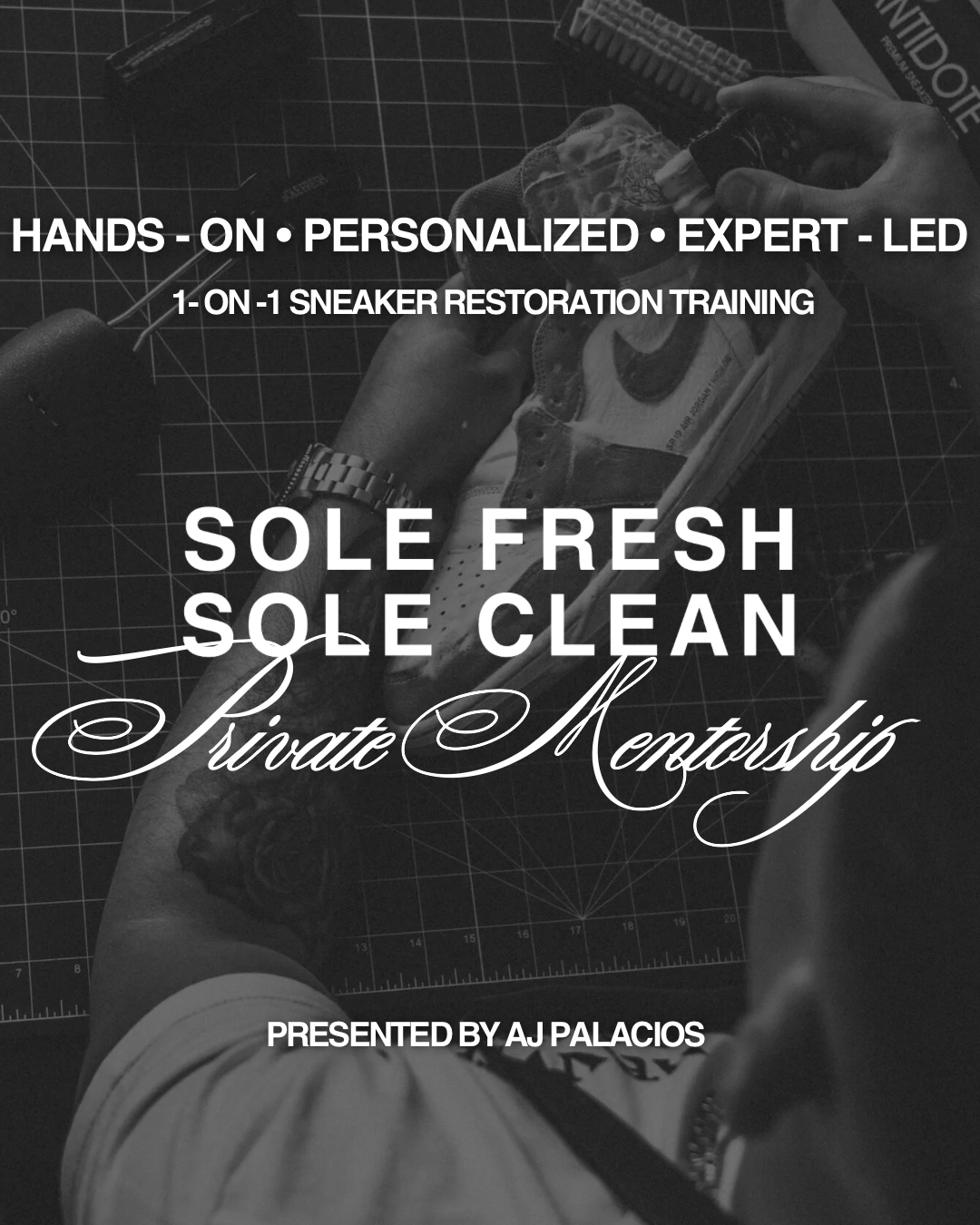 #1 Private Sneaker Restoration Mentorship